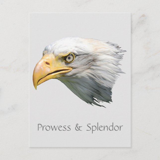 Bald Eagle Prowess & Splendour customisable Postcard (Front)