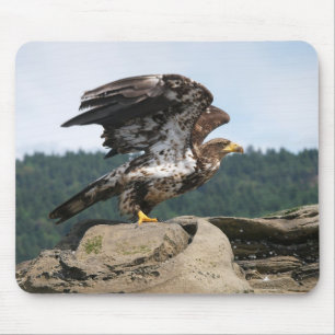 Bald Eagle Ready For Takeoff - mouse pad