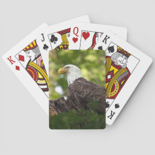 Bald Eagle Rest Stop Playing Cards
