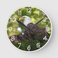 Bald Eagle Rest Stop