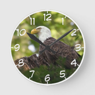 Bald Eagle Rest Stop Round Clock