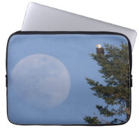 Bald Eagle | Rising Full Moon