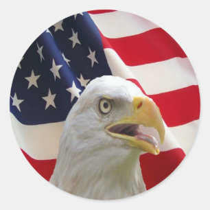 Bald Eagle Round Stickers