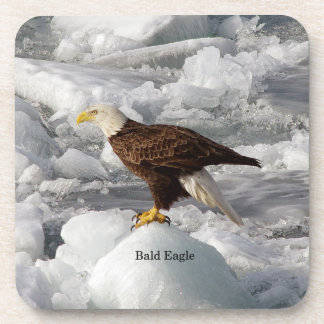 Bald Eagle set of 6 plastic coasters
