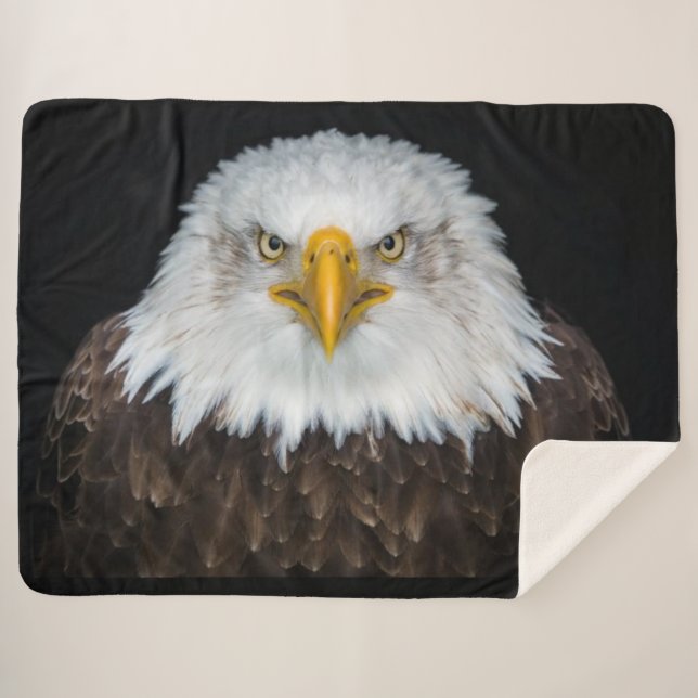 BALD EAGLE SHERPA BLANKET (Front (Horizontal))