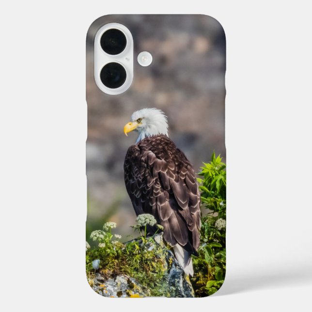 Bald eagle sitting on the rock Case-Mate iPhone case (Back)