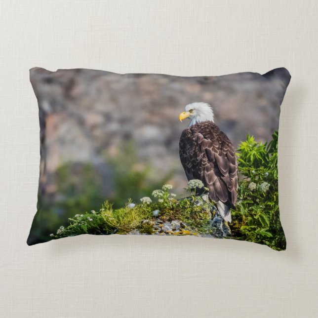 Bald eagle sitting on the rock decorative cushion (Back)