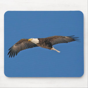 Bald Eagle Sky High Mouse Pad