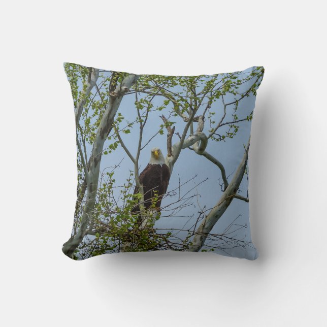 Bald Eagle Smile Cushion (Front)