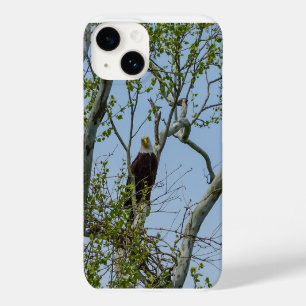 Bald Eagle Smile iPhone Case