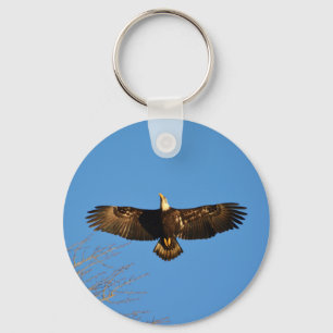Bald Eagle Soaring1 Key Ring