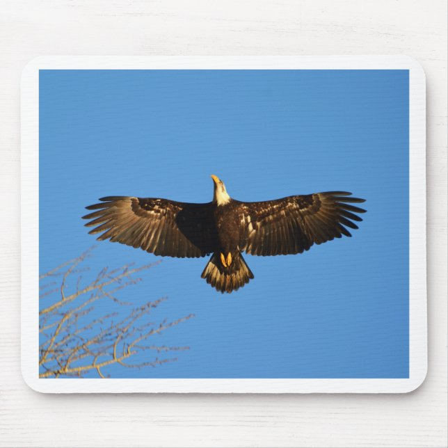 Bald Eagle Soaring1 Mouse Pad (Front)
