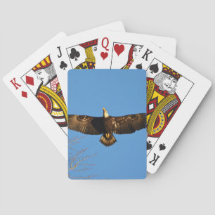 Bald Eagle Soaring1 Playing Cards