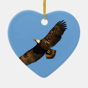 Bald Eagle Soaring 2 Ceramic Ornament