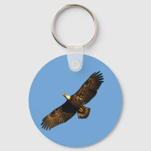 Bald Eagle Soaring 2 Key Ring