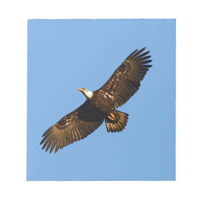 Bald Eagle Soaring 2 Notepad (Front)