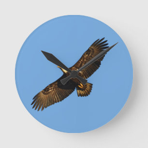 Bald Eagle Soaring 2 Round Clock