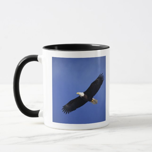 Bald eagle soaring , Alaska Mug (Left)