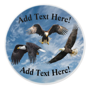 Bald Eagle Soaring Ceramic Knob