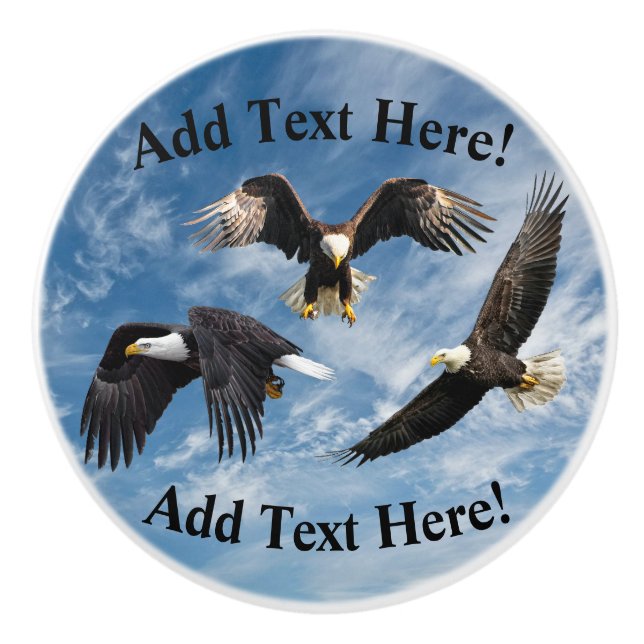 Bald Eagle Soaring Ceramic Knob (Front)
