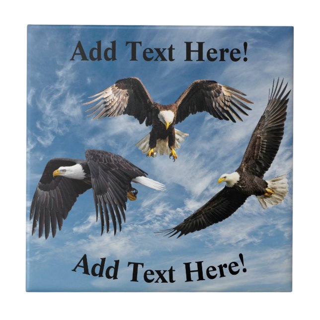 Bald Eagle Soaring Ceramic Tile (Front)
