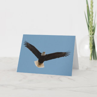 Bald Eagle Soaring-Frameable Art Card