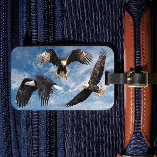 Bald Eagle Soaring Luggage Tag