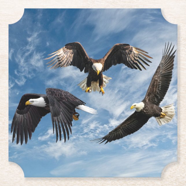 Bald Eagle Soaring Paper Coaster (Front)