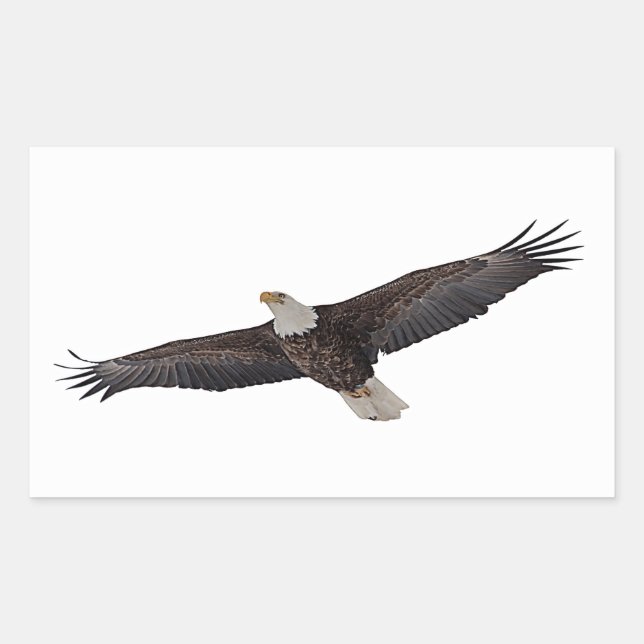 Bald Eagle Soaring Rectangular Sticker (Front)
