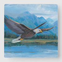 Bald Eagle Soaring