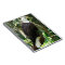 Bald Eagle Spiral Photo Notebook