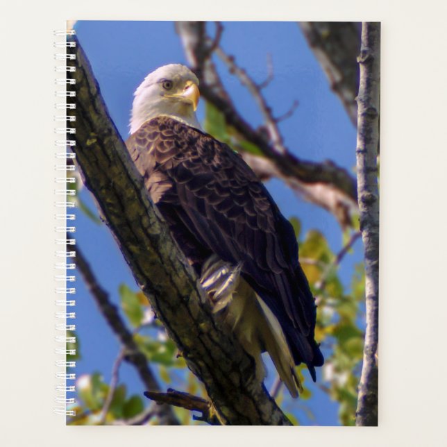 Bald Eagle Spiral Weekly/Monthly Planner (Front)