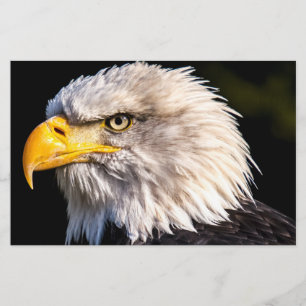 Bald Eagle Stationery