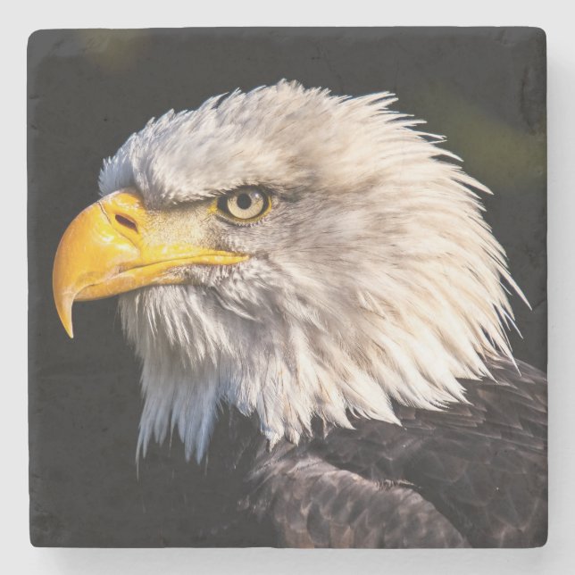 Bald Eagle Stone Coaster (Front)