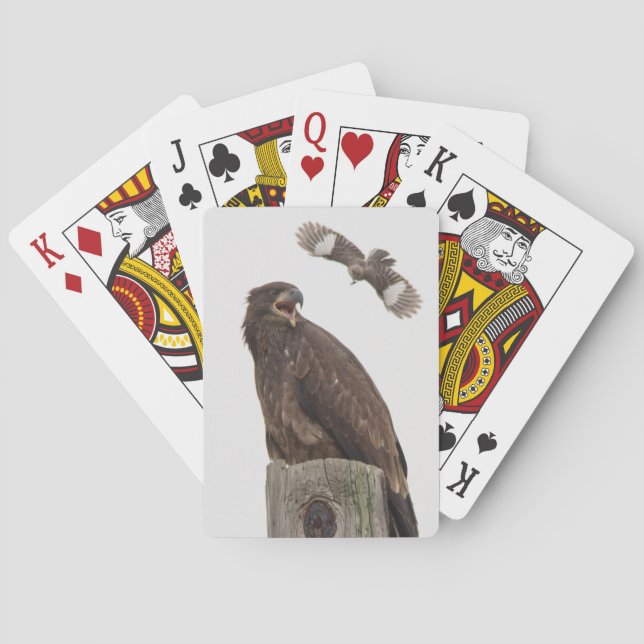 Bald Eagle (Stop body slamming me) Playing Cards (Back)