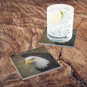 Bald Eagle Strength – Bold Coaster Set