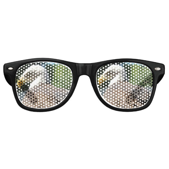 Bald Eagle Sunglasses (Front)