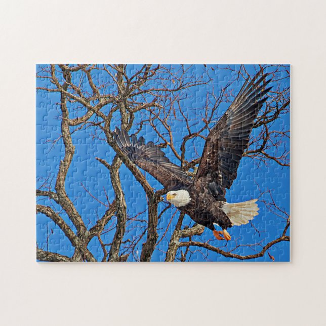 Bald Eagle taking flight Jigsaw Puzzle (Horizontal)