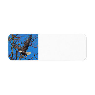 Bald Eagle taking flight Return Address Label