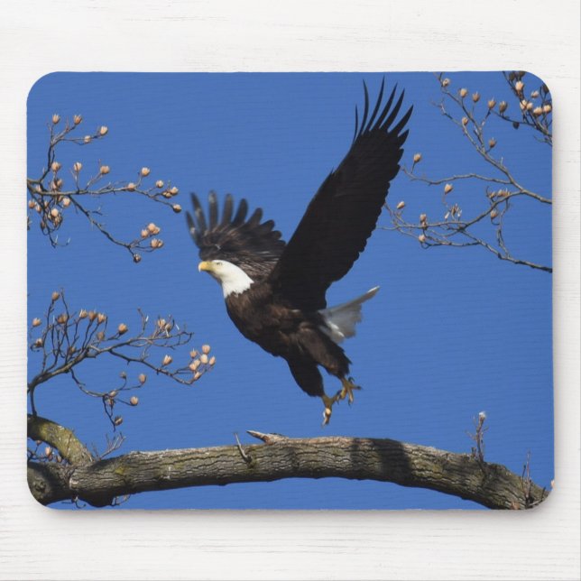 Bald Eagle Taking Off Mouse Pad (Front)