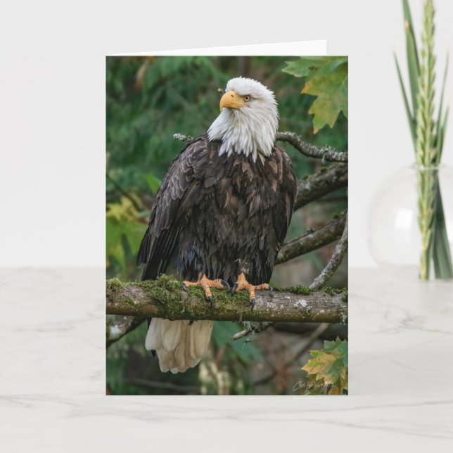 Bald Eagle Thank You Card (Front)