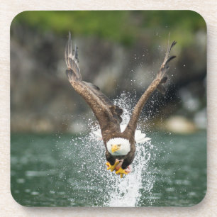 Bald Eagle The Big Catch Coaster