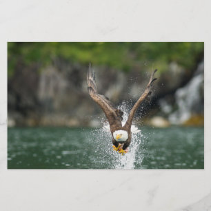 Bald Eagle The Big Catch Stationery