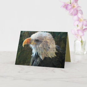 Bald Eagle Thinking You Card