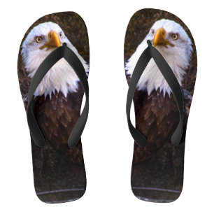 Bald Eagle Thongs