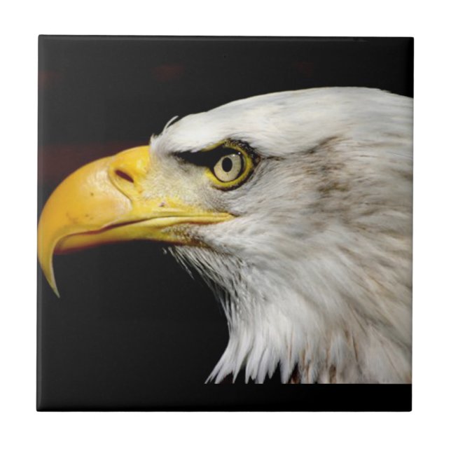 Bald Eagle Tile (Front)