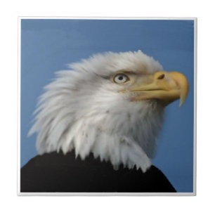 BALD EAGLE-TILE CERAMIC TILE