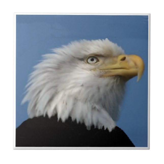 BALD EAGLE-TILE CERAMIC TILE (Front)