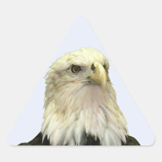 Bald Eagle Triangle Sticker