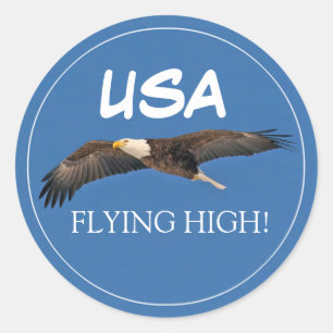 Bald Eagle-USA Flying High Classic Round Sticker
